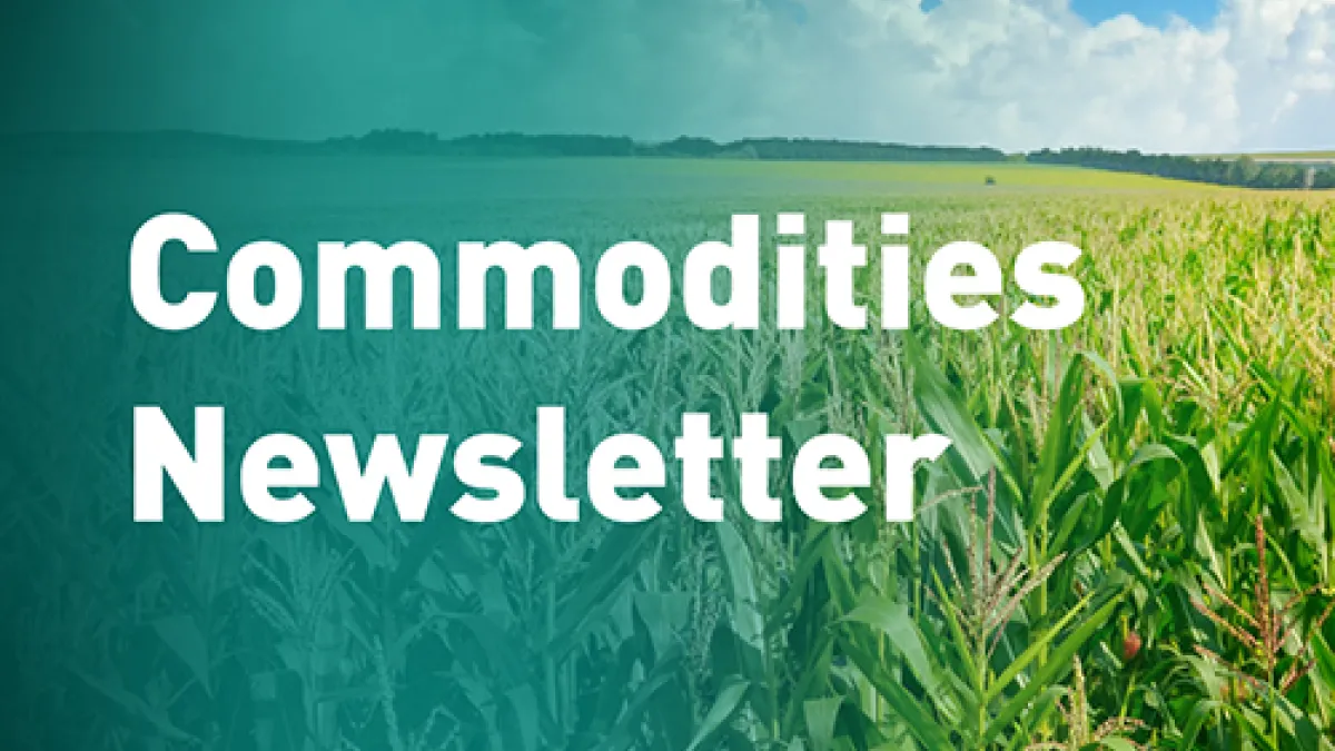 Commodities Newsletter